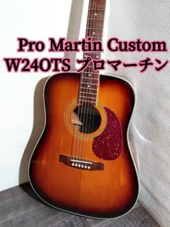 ぎたproMartin 2025年最新】Yahoo!オークション -pro martin(アコースティック
