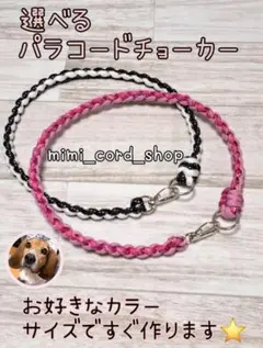 Item thumbnail for item f49b06d3-5244-499a-8e63-47e9ea6e3589