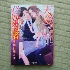 天敵御曹司は愛を知らない偽婚約者を囲い堕とす～一夜限りのはずが、カタブツ秘書は…