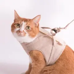 Item thumbnail for item 885cbe3b-972d-4cb3-87d9-4934ec318b1e