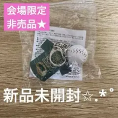 【最安価格✩.*˚】甲子園 第100回記念 限定キーホルダー 非売品