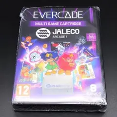 ジャレコ アーケード1 Jaleco Arcade 1 Evercade
