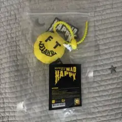 FTISLAND ソウルコン　MAD HAPPY キーリング