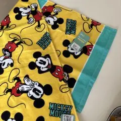 ディズニー　ミッキーマウス &フレンズ　フェイスタオル&ハンドタオル2枚組