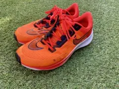 Nike ライバル フライ 3 (25.5cm)
