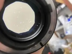 確認用