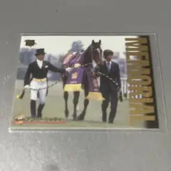[競馬]ノーザンテースト（馬服）ぬいぐるみ 新品 伝説の種牡馬 AVANTI アバンティー AVANTI 競走馬ぬいぐるみ 10体セット Sサイズ おまけ付き
