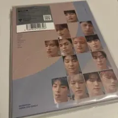 新品未開封 seventeen 舞い落ちる花びら C盤