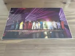 櫻坂46 FC長期特典 ポストカード 愛し合いなさい