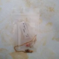 Item thumbnail for item fa220def-3380-4408-a19e-06c321200bd1