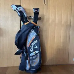 Item thumbnail for item fd539e96-3119-4f54-9f40-bc152fe86cf2