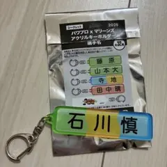 千葉ロッテマリーンズ　石川慎吾