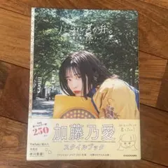 ノーマル勘弁。 加藤乃愛スタイルブック