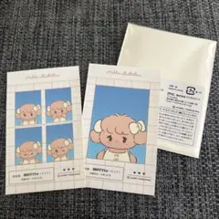 mikko 証明写真風ステッカー ナッツ