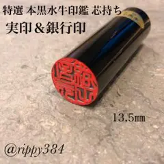 Item thumbnail for item e38cbe8b-6902-4286-8d3f-0182424ff8d5