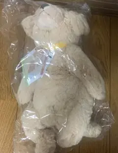 うちのハル君です
