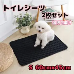 Item thumbnail for item d28a2571-0e13-415e-b412-dbfa0e8084ee