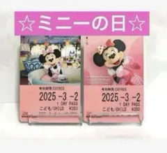 ディズニーリゾートライン　フリー切符　ミニー　イマジニングザマジック　ミニーの日