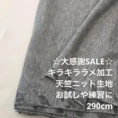 D6X/5305-01◆290cm 感謝祭/レーヨン混キラキラ天竺ニット生地