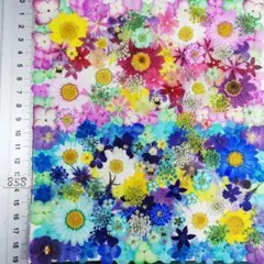 押し花素材　N858 ノースボール ビオラ 紫陽花　バーベナ 小花　 押し花