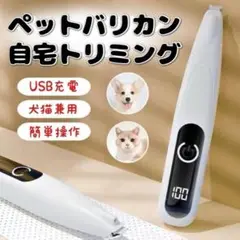 Item thumbnail for item 8aa18491-eab6-4a02-9b97-4d182e9c17d0