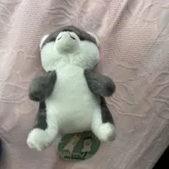 あおむけイヌネコ　ぬいぐるみ　犬