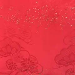 ✨アンティーク✨着物✨子供用✨