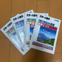 1対1対応の演習/数学