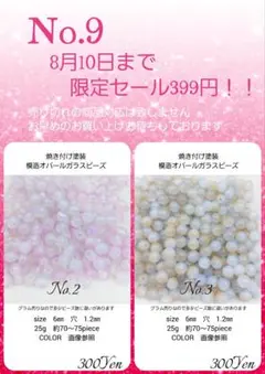 8月10日までの399Yen特価　No.9