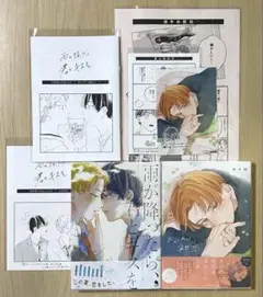 「雨が降ったら、君とキスを」 「おかえり初恋」 2冊セット