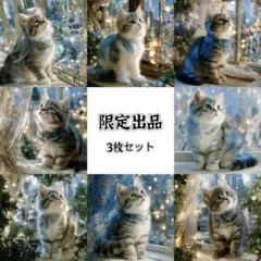 パネル生地　新柄(SY54j) 猫8柄　3枚セット