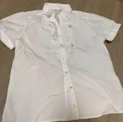 Item thumbnail for item 2f2d1388-f6b2-4654-9e36-181a7e0b278d