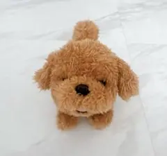 最終価格　動く犬　おもちゃ　トイプードル