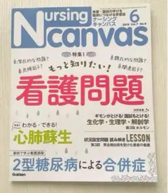 ナーシングキャンバス 2019年 6月 看護問題 心肺蘇生 糖尿病合併症