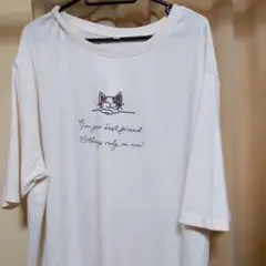 5L　新品　猫