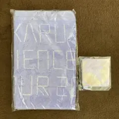 宇多田ヒカル SCIENCE FICTION TOUR プレミアムシートグッズ