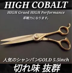 Item thumbnail for item 9aa67048-b270-4e3b-b46d-033ba4dc0d77