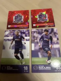 Item thumbnail for item a3de5cba-308f-4775-82d9-a51c7deac9fa