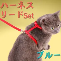 【ラスト】リードハーネス 猫 ブルー 青 キャット お散歩 首輪 ペット 犬