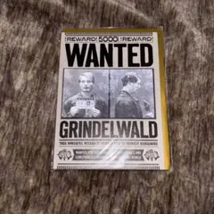 minalima ファンタビ グリンデルバルド手配書 minalima ファンタビ グリンデルバルド手配書 - メルカリ