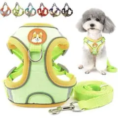 Item thumbnail for item d4240eae-34cf-4183-a62a-b3bb60e48682