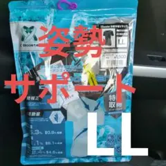 エックスブースター冷感半袖Vネック　ブラック サイズ　LL