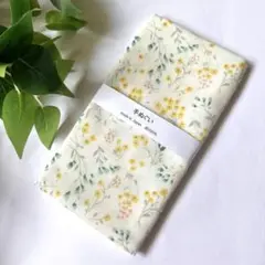 Item thumbnail for item f85d9980-8cde-41d2-a9b6-e42d8c62ed1c