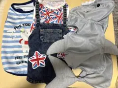 Item thumbnail for item 7d8f0817-b4f6-47fe-a490-53883f45219d