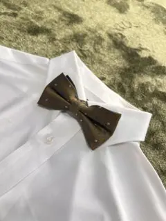 Item thumbnail for item ddd18e05-c97e-4976-b6b7-7bb233559774