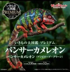 いきもの大図鑑プレミアム　パンサーカメレオン　アンビローブ・グリーン フィギュア