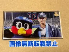 ヤクルトスワローズ 内山壮真(33) アクリルプレート 非売品