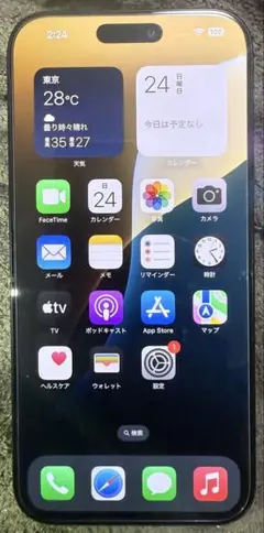 iPhone16ProMax 1Tb ブラックチタニウム　SIMフリー