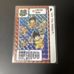 ドラゴンボール　カードダス　limited3000　リミテッド　夢 2025年最新】ドラゴンボール カードダス LIMITED 3000の人気