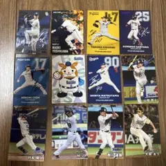 プロ野球 サイン入り込みトレーディングカード12点セット